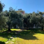 Vila Mary 2 Nea Skioni Start Travel