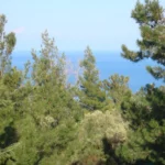 Apart Hotel Oceanis Kalitea – Start Travel – 31