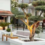 Chrisanti Leptokaria - Start Travel - 5