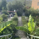 Nikos Evia Pefki - Start Travel - 1