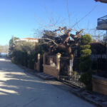 Vila-Elektra-Nea-Vrasna-Start-Travel-1 ulica