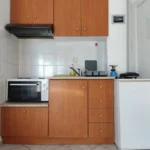 Vila Lemoni Studios Nea Skioni - Start Travel kuhinja