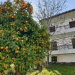 Vila Palma 2 - Polihrono Start Travel - 1