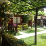 Vila Panagiotis - Stavros - Start Travel - 3