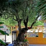 Vila Partenis – Pefkohori – Start Travel – 16