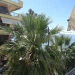 Vila-aktion-evia-edipsos-start-travel-3-vila