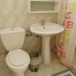 Vila Angelos Nea Flogita Start Travel kupatilo