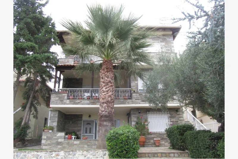 Vila Dr Serhan Neos Marmaras Vila