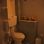 Vila Karaoulanis Pilion Start Travel Kupatilo