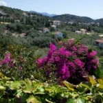 Vila Magnolia Sivota Start Travel