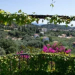 Vila Magnolia Sivota Start Travel