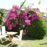 Vila Magnolia Sivota Start Travel