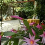 Vila Xenios Pilion Start Travel