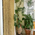 Vila Xenios Pilion Start Travel