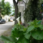 Vila Xenios Pilion Start Travel