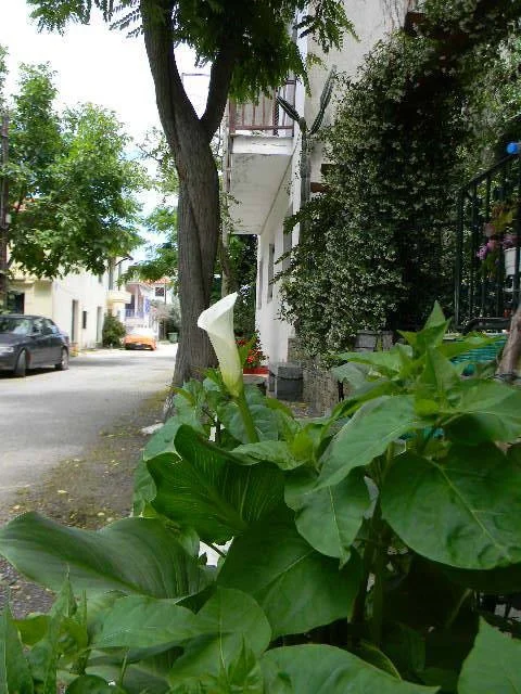 Vila Xenios Pilion Start Travel