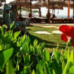 Elyses Dream Hurgada Start Travel