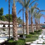 Elyses Dream Hurgada Start Travel