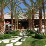 Elyses Dream Hurgada Start Travel