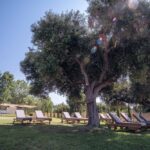 Vila Santa Ana Skioni Start Travel