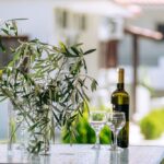 Vila Santa Ana Skioni Start Travel