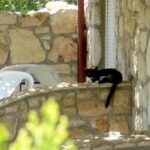 vila-giorgio-kalitea-grcka-1 – 1