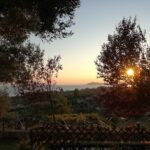 Vila Blue Fox Nea Skioni Satrt Travel