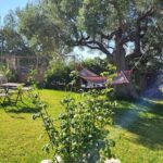 Vila Blue Fox Nea Skioni Satrt Travel