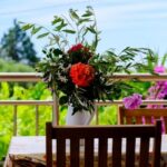 Vila Paradise Nea Skioni Leptokaria Start Travel