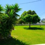 Vila Paradise Nea Skioni Leptokaria Start Travel