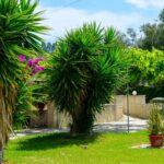 Vila Paradise Nea Skioni Leptokaria Start Travel