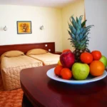 Hotel Baryakov Bansko - Start Travel 1