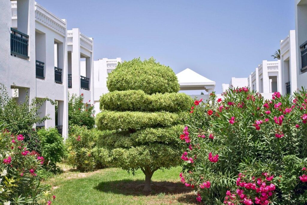 Hotel El Borj 3* – fotografija 7