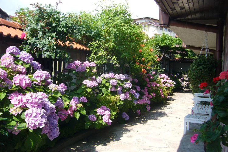 Hotel Grami Bansko - Start Travel 1