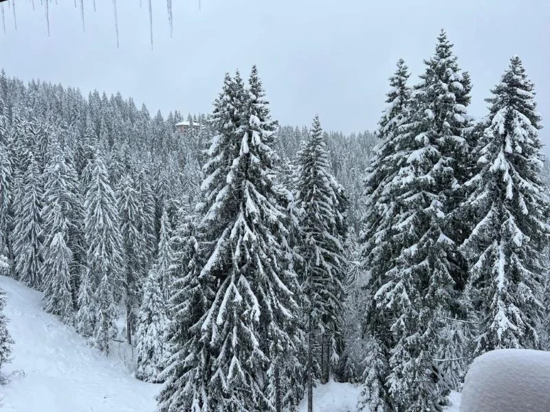 Hotel Kamena Pamporovo - Start Travel 1
