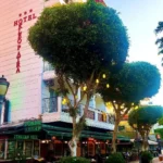 Hotel Kleopatra Alanja – Start Travel 6