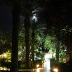 Hotel Le Hammamet – Hammamet – Start Travel 26