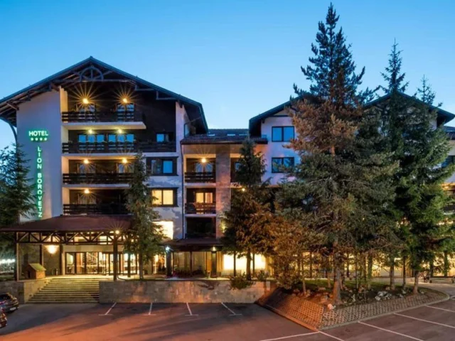 Hotel Lion