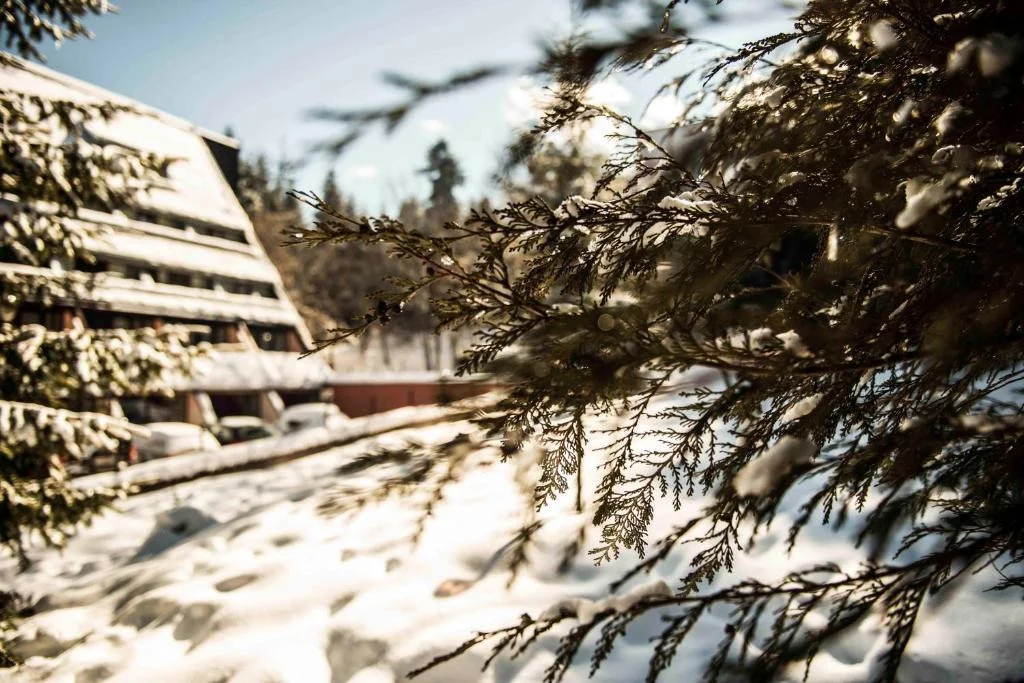 Hotel Mura Borovec - Start Travel 1