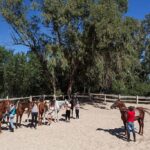 Hotel SAHARA BEACH AQUA PARK – Start Travel 20