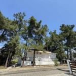 Studiji Borovi - Nea Kalikratia