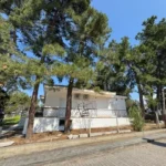 Studiji Borovi - Nea Kalikratia