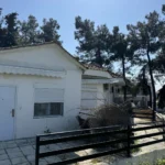 Studiji Borovi - Nea Kalikratia