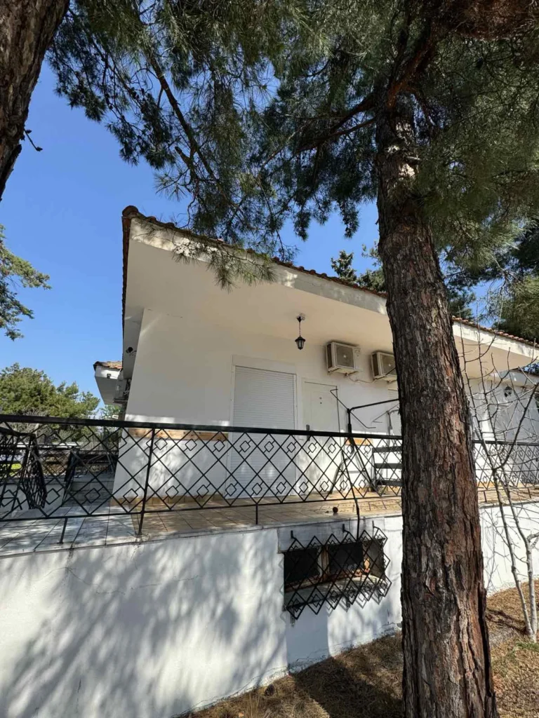 Studiji Borovi - Nea Kalikratia