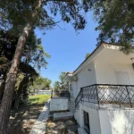 Studiji Borovi - Nea Kalikratia