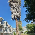 Sunny Days Polirhono Start Travel