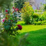 Vila Anstel Stavros - Start Travel 1