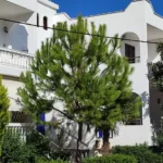 Vila Blue Ippokampos Pefkohori - Start Travel