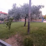 Vila Dimitris Potos – Start Travel 7