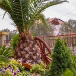 Vila El Greko - Nea Vrasna